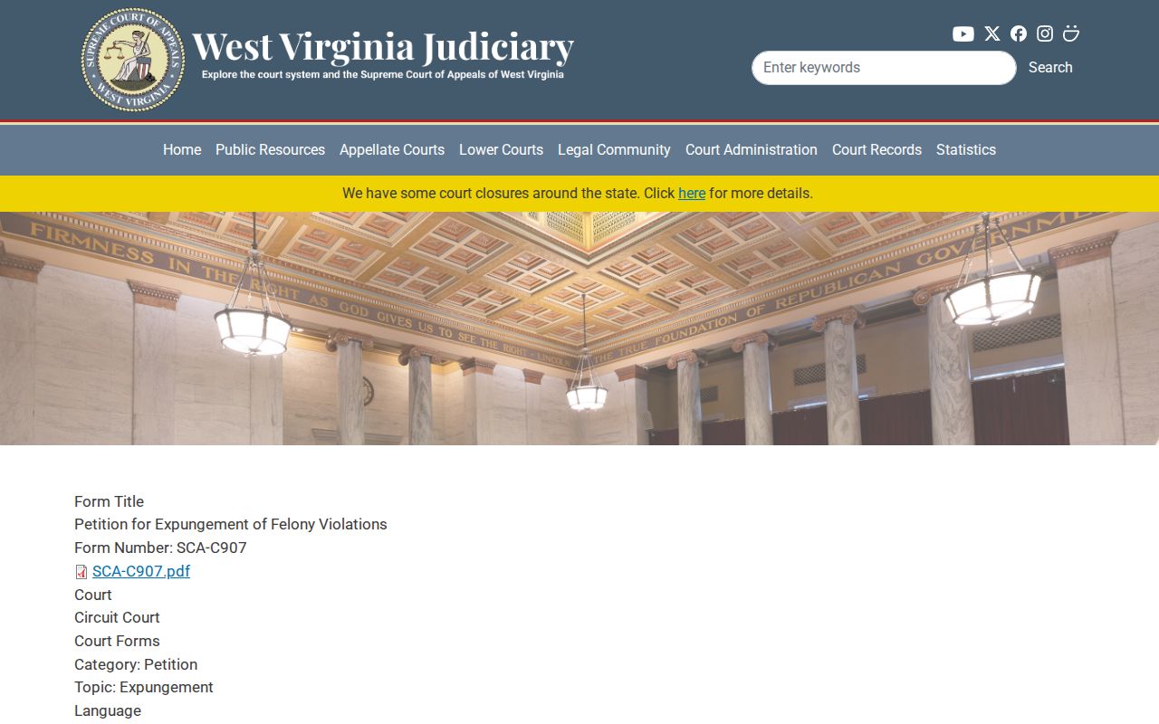 Marion County criminal history felony expungement petition page